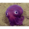 hooray-squid emoji